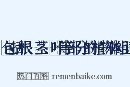 包括根、茎、叶等部分的植物体组词是什么意思的图片